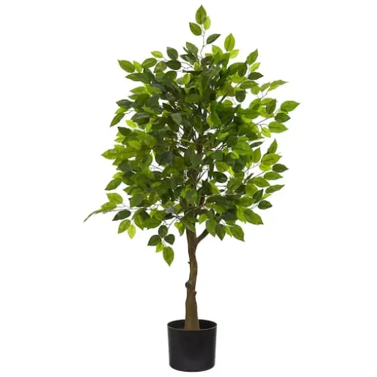 3.25ft. Potted Ficus Tree {1}