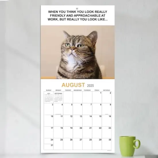 TF Publishing 2025 Corporate Cats Wall Calendar {4}