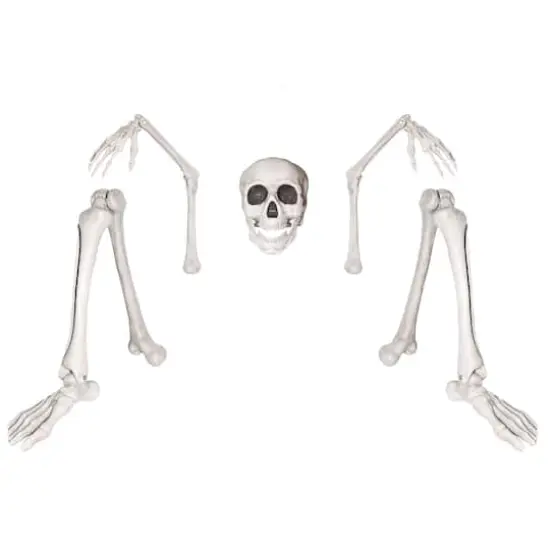 Ground Breaking Skeleton by Ashland&reg; {1}