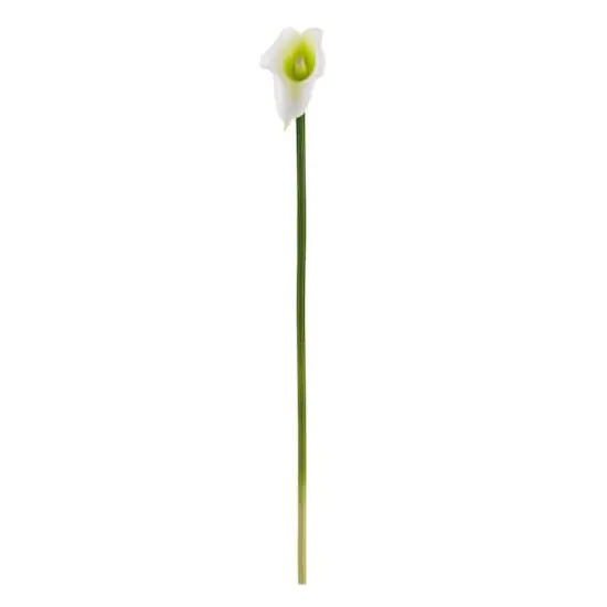 White Calla Lily Stem, 12ct. {1}