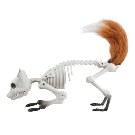 17.75" Fox Skeleton Décor by Ashland® {1}