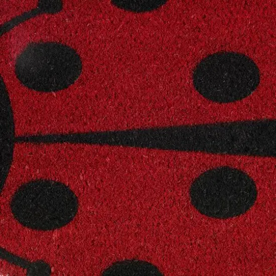 DII&reg; Lady Bug Doormat {7}