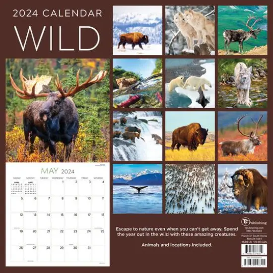 TF Publishing 2024 Wild Wall Calendar {3}
