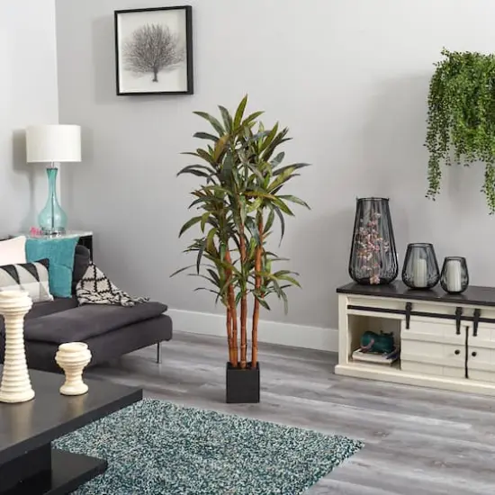 5ft. Potted Yucca Tree {4}