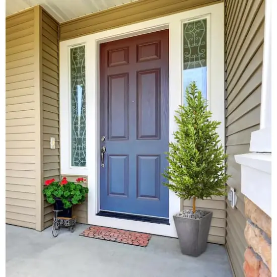 5.5ft. Olive Cone Topiary Tree in Slate Planter {3}