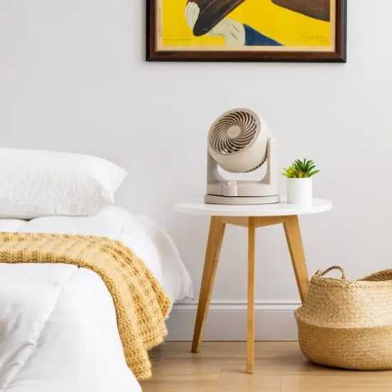 Iris&reg; 11.5" Latte Fan {6}