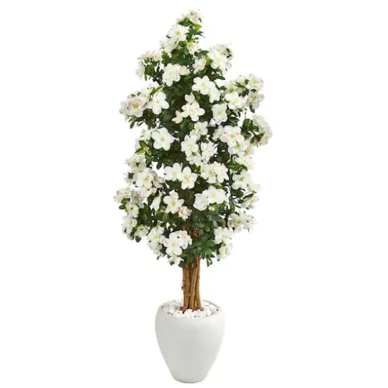 5ft. Azalea Tree in White Planter {1}