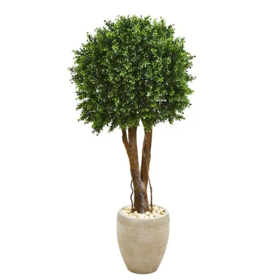 4ft. Boxwood Topiary Tree in Planter {1}
