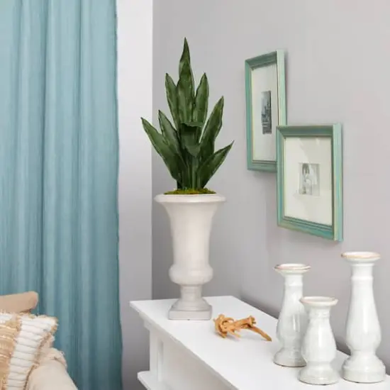 3ft. Snake Plant in Sand Colored Urn {5}