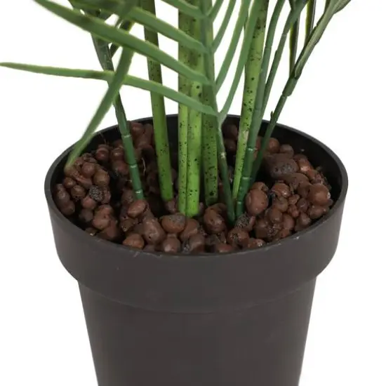 2.6ft. Potted Areca Palm Tree {5}