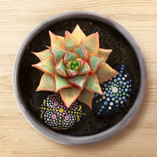 ArtSkills&reg; Rock Painting Kit for Kids {11}