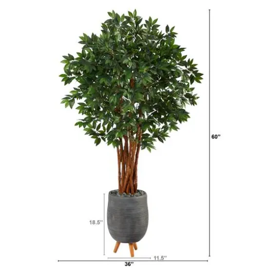6ft. Lychee Tree in Gray Planter with Stand {3}