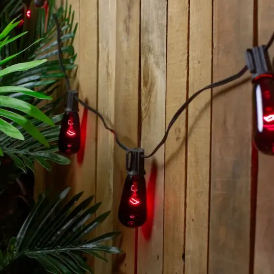 10ct. Purple Edison E17 Halloween Light Set {3}