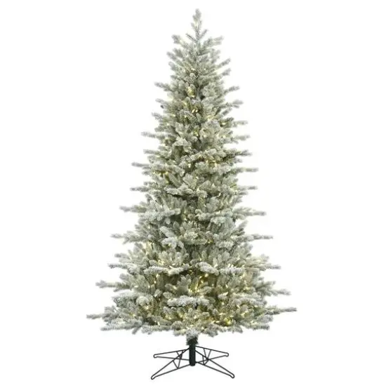 7.5ft. Pre-Lit Frosted Eastern Fraser Fir Artificial Christmas Tree, Warm White LED Lights {1}