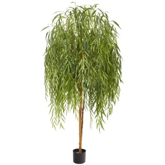 7ft. Potted Willow Tree {1}
