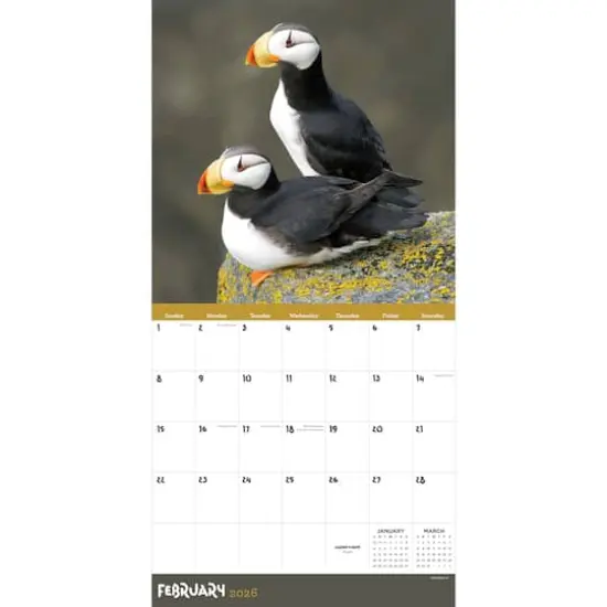 2026 Wild Wall Calendar {3}