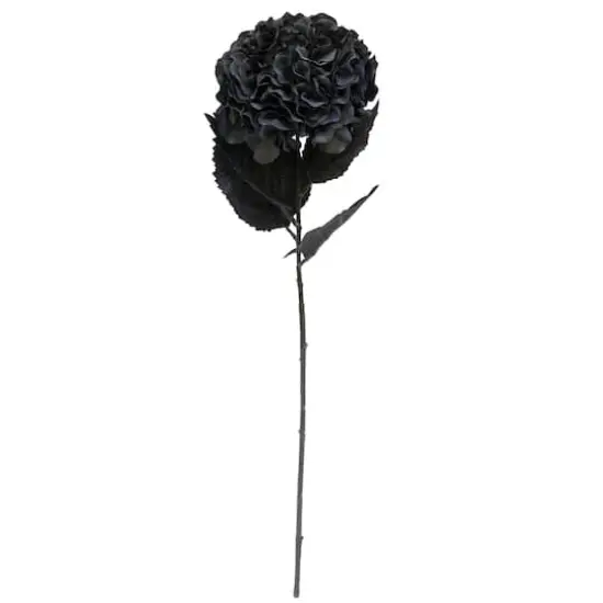 Black Hydrangea Stem by Ashland&reg; {5}