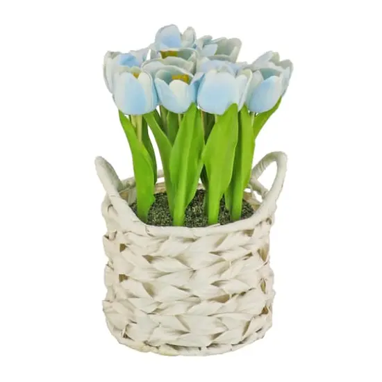 10" Tulip Bouquet in White Basket Blue {1}