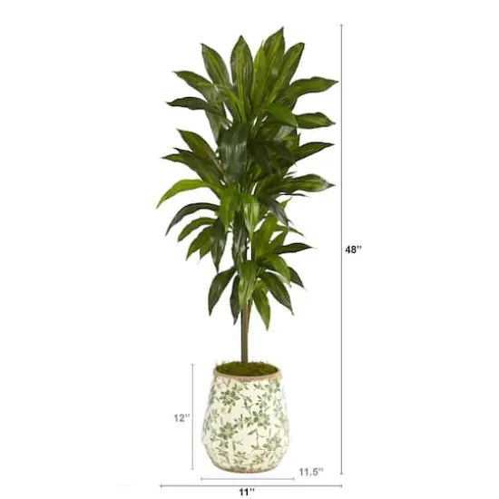 4ft. Dracaena Plant in Flower Print Planter {3}