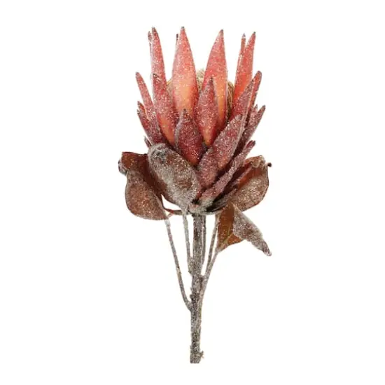 29.25" Red Protea Flower Stems, 2ct. {4}