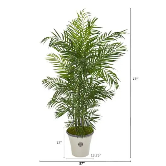 6ft. Areca Palm Tree in White Planter {3}
