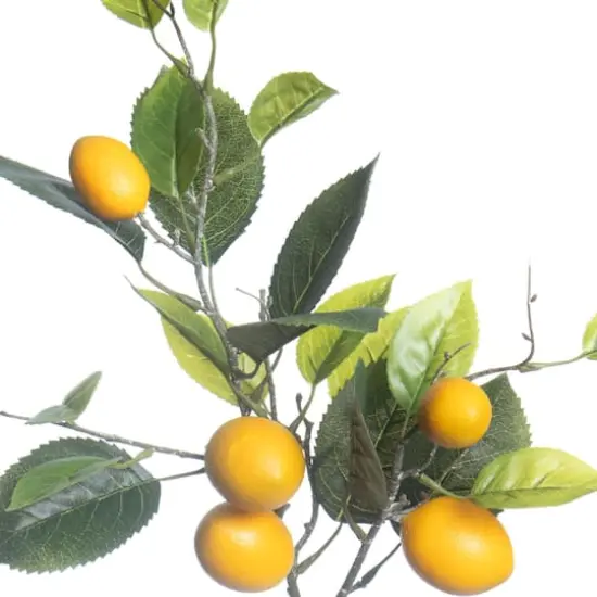 31" Lemon Branch by Ashland&reg; {3}