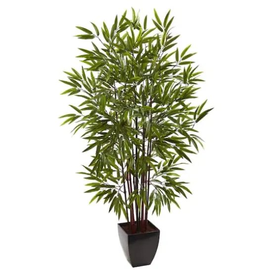 5ft. Potted Bamboo Silk Tree {1}
