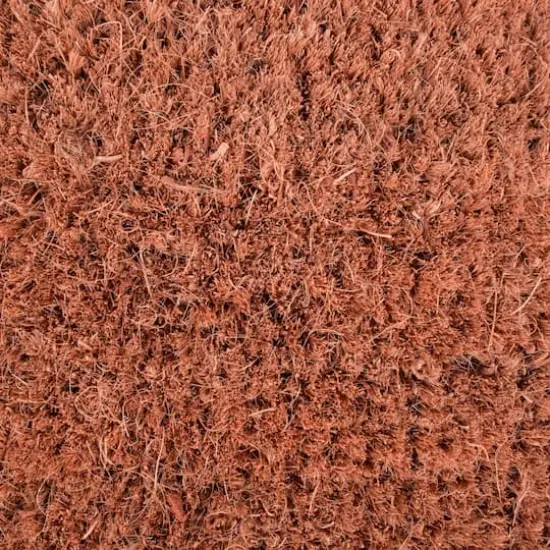 DII&reg; Beach House Doormat {5}