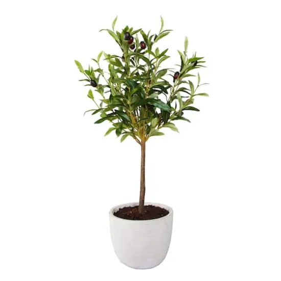Flora Bunda&reg; 28" Olive Tree In 7.25" Gray Cement Pot {1}