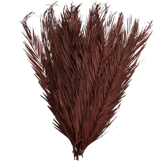 43" Natural Dried Plant Palm Leaf Bunch with Feather-Inspired Stems Dark Brown {1}
