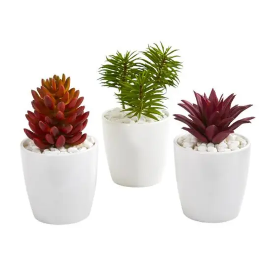 10" Mixed Succulent Plants in White Vases Set {1}
