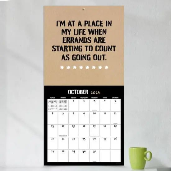 TF Publishing 2024 Anti-Affirmations Wall Calendar {5}