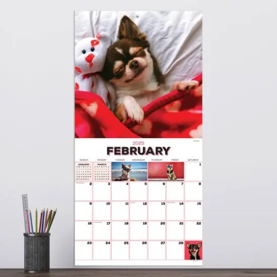 TF Publishing 2025 Puppies Wall Calendar {4}