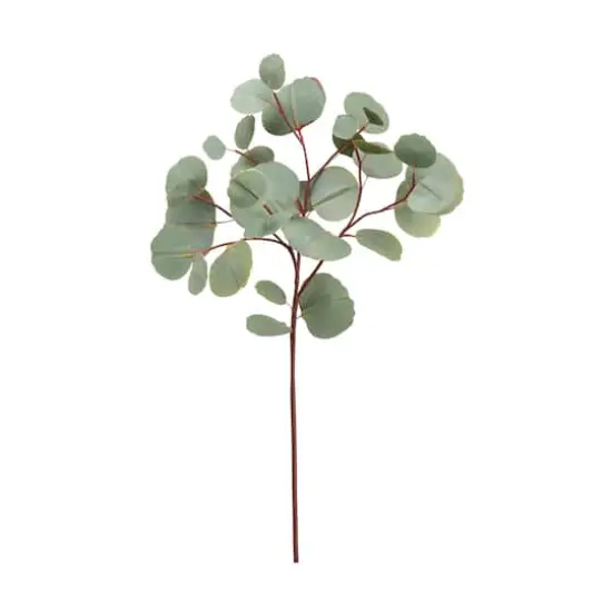 Eucalyptus Spray  {1}