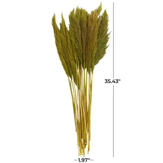 Dried Plant Bamboo Natural Foliage with Long Stems Green {7}