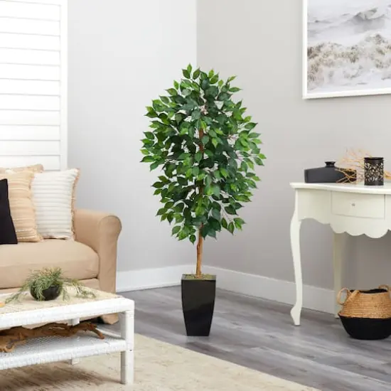 4.5ft. Ficus Tree in Black Metal Planter {5}