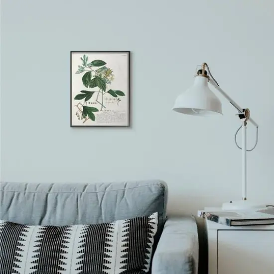 Stupell Industries Botanical Green Plant Illustration Black Framed Wall Art {3}