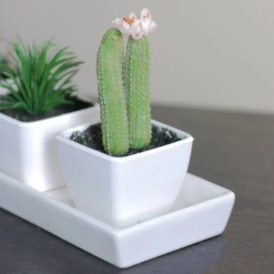 4.25" Faux Columnar Cactus In White Pot {3}