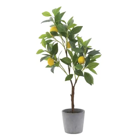 Hello Honey&reg; 2ft. Faux Lemon Tree in Cement Pot {1}