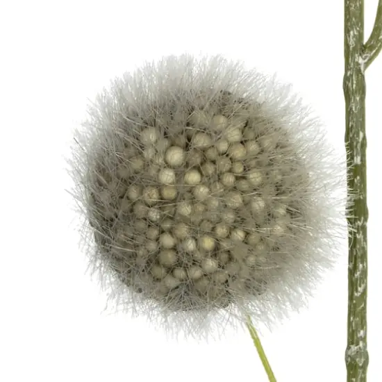 Green Pom Pom Stem, 3ct. {3}