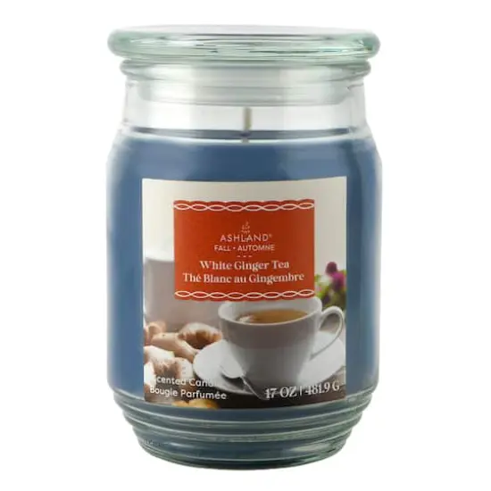 17oz. Fall Scented Jar Candle by Ashland&reg; White Ginger Tea {1}