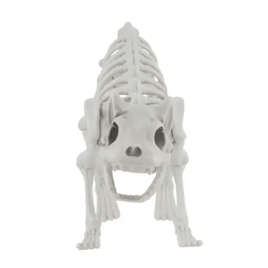 11" Cat Skeleton by Ashland&reg; {4}