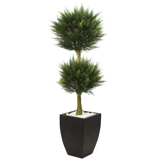 4.5ft. Cypress Topiary in Black Planter {1}