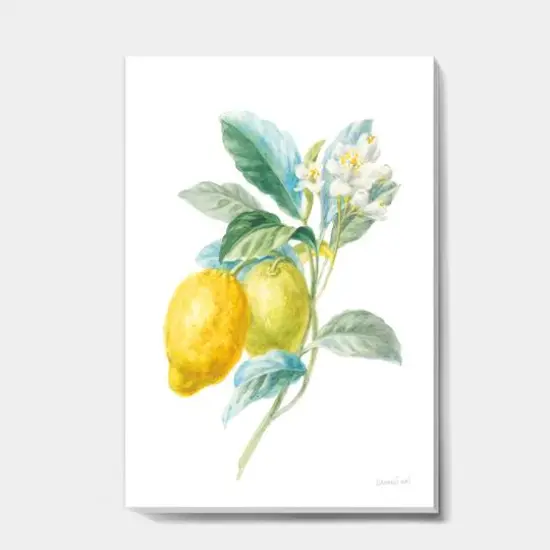 Designart - Floursack Lemon II - Cabin & Lodge Gallery-wrapped Canvas {1}