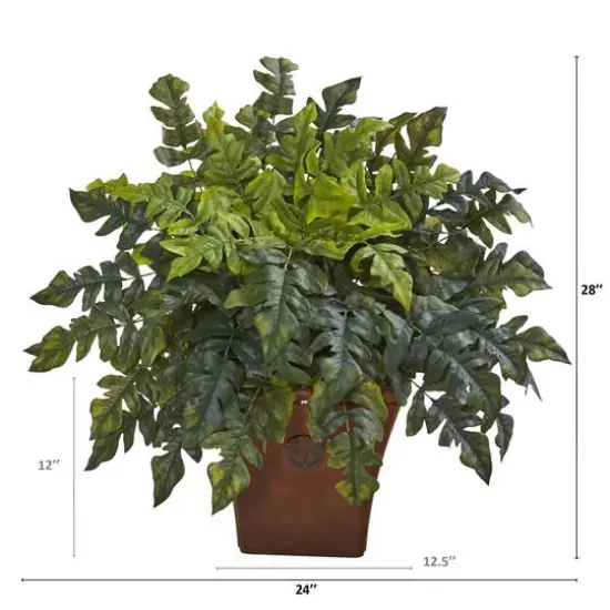 2ft. Holly Fern in Brown Planter {3}