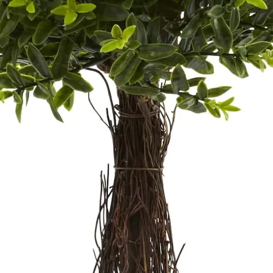 3ft. Potted Ixora Topiary {4}