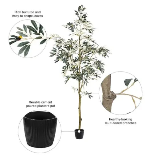 7ft. Potted Olive Tree {9}