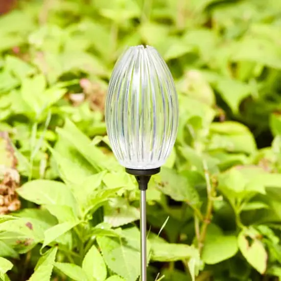 Glitzhome&reg; 36" Solar Powered Oval Flower Stake Light with Stainless Steel Poles, 3ct. {6}