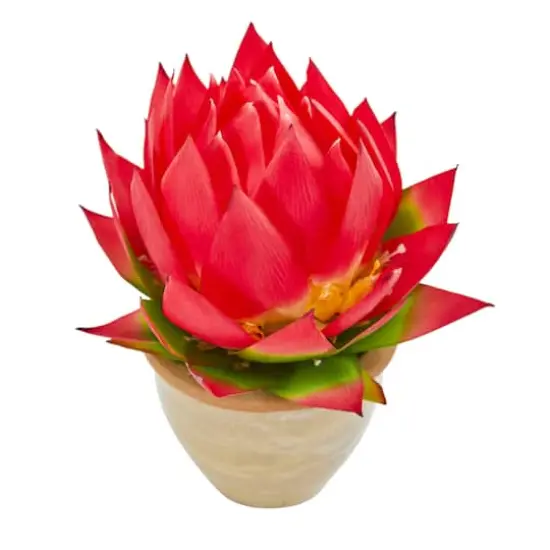 12" Red Musella Arrangement In Decorative Vase {4}