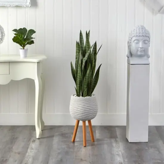 46" Sansevieria Plant in White Planter with Stand {4}